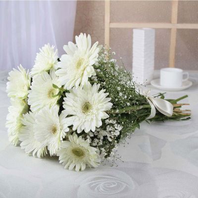 White Gerbera